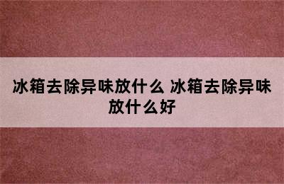 冰箱去除异味放什么 冰箱去除异味放什么好